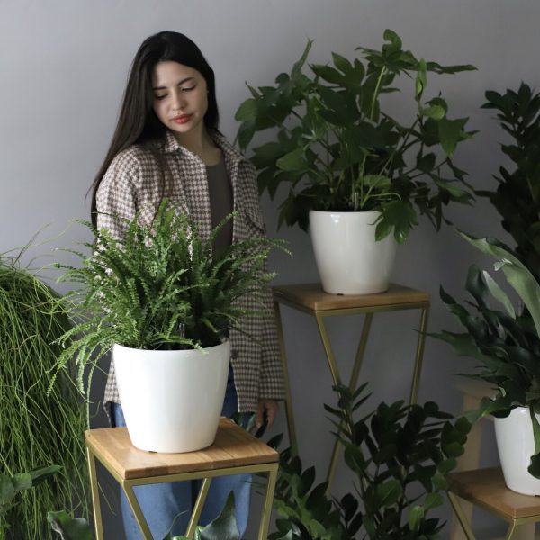 Classic Red Rose & Ivy